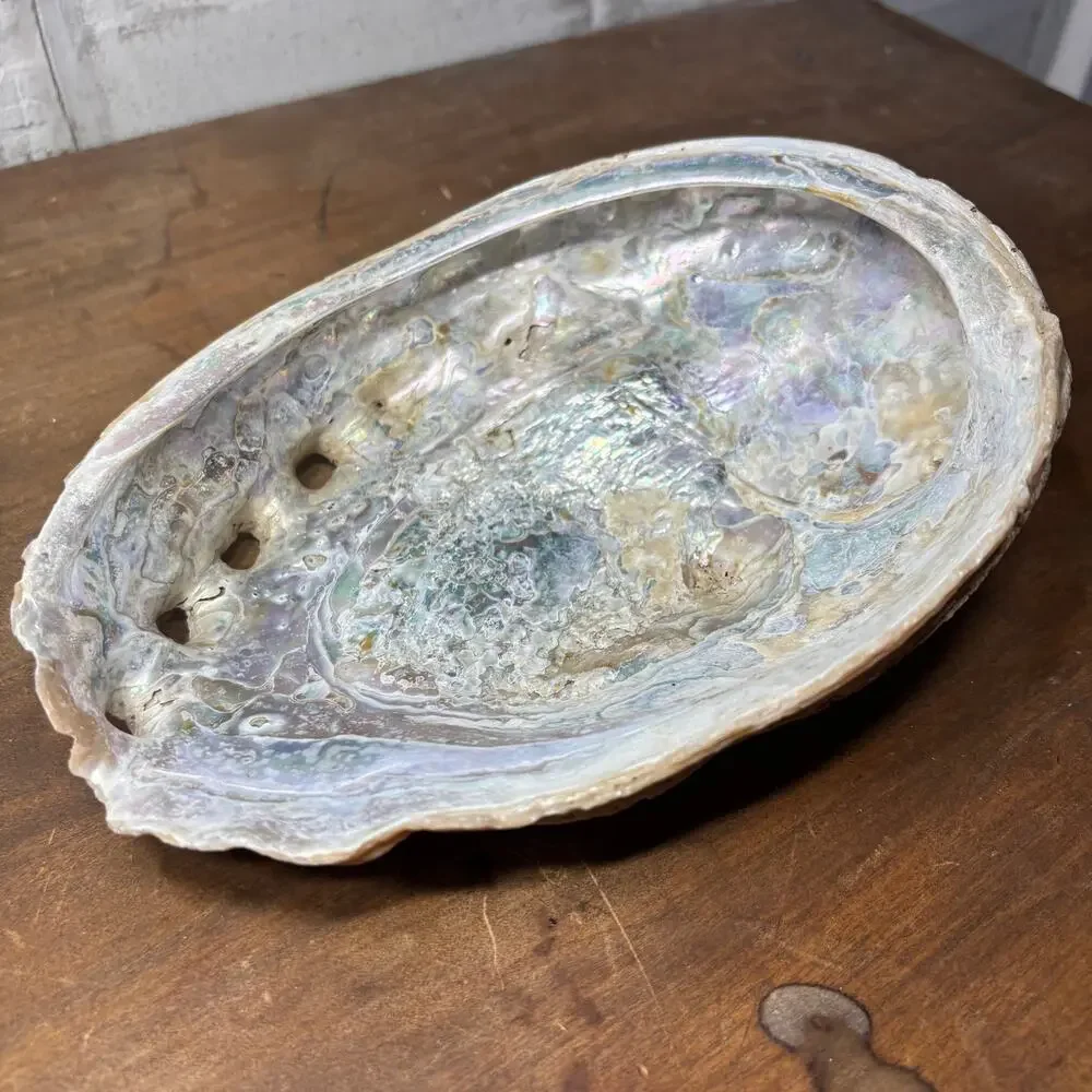 Natural Iridescent Abalone Shell Trinket Dish | 8